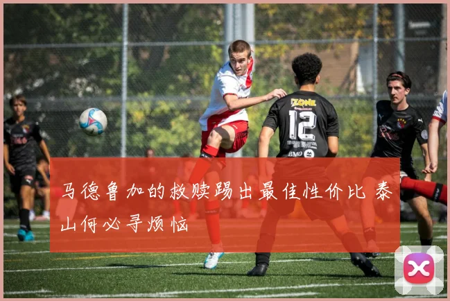 马德鲁加的救赎踢出最佳性价比 泰山何必寻烦恼